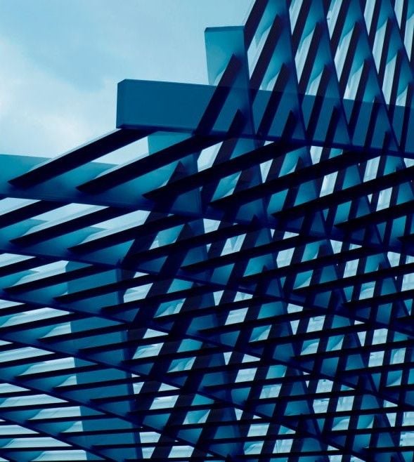 Thriving through disruption